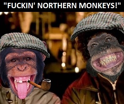 northern monkeys